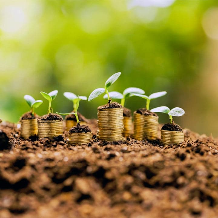 Seedlings growing from stacks of coins