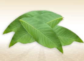 Banaba