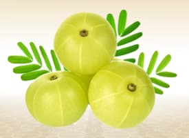 Indian Gooseberry