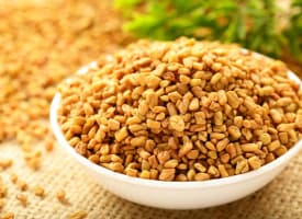 Fenugreek
