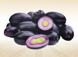Malabar Plum