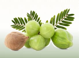 Triphala (Ayurvedic Compound Formulation)