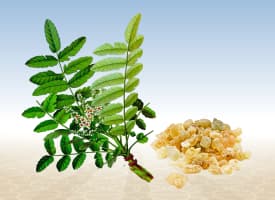 Frankincense