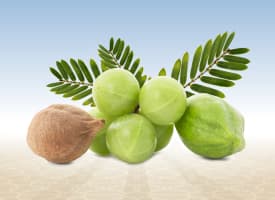 Triphala (Ayurvedic Compound Formulation)
