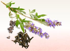 Chaste tree root and leaves