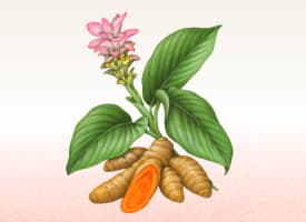 Amba Turmeric