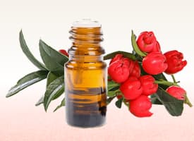 Gandhpura Oil