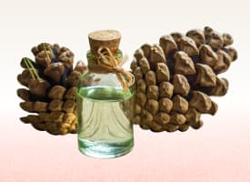 Turpentine oil (Oleoresin of Pinus longifolia)