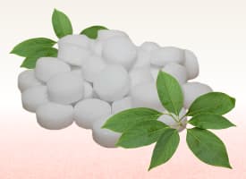 Camphor