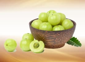 Indian Gooseberry