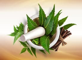 Neem