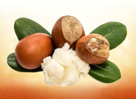 Shea Butter