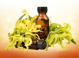Ylang Ylang Oil