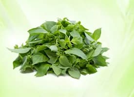 Nimbu Tulsi