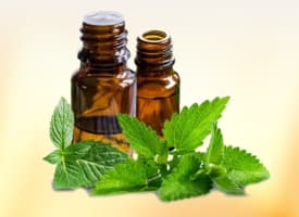 Peppermint Oil