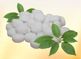 Camphor
