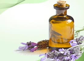 Lavender Oil