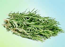 Rosemary
