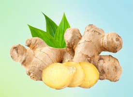Ginger