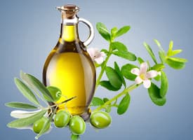 Olive Oil Infused with Brahmi