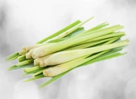 Lemongrass