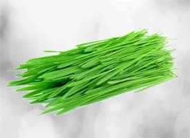 Wheatgrass
