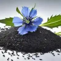 Nigella Seeds