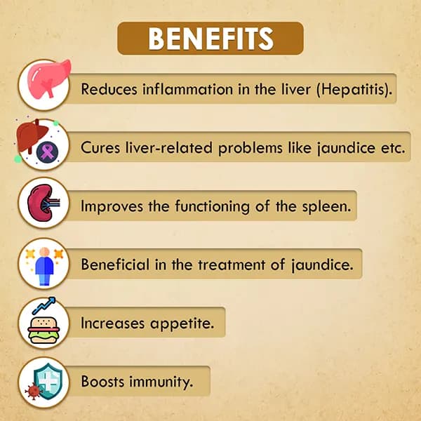 Liver Detox Capsule — view 3