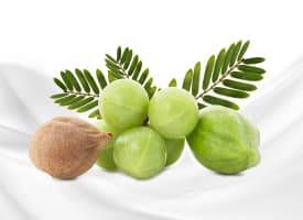 Triphala (Ayurvedic compound formulation)