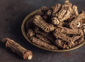 Indian sarsaparilla